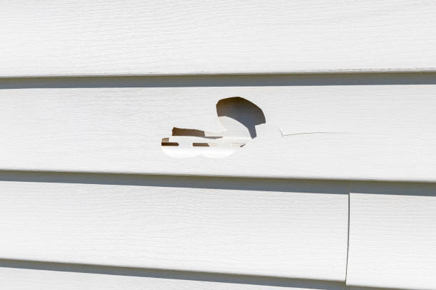 Best Composite Siding  in Elm City, NC