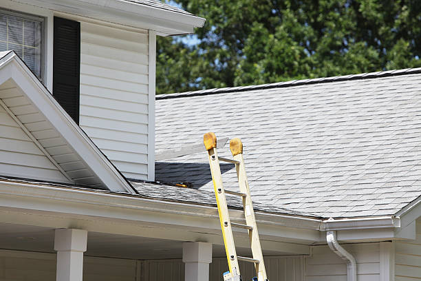 Best Custom Siding Design  in Elm City, NC