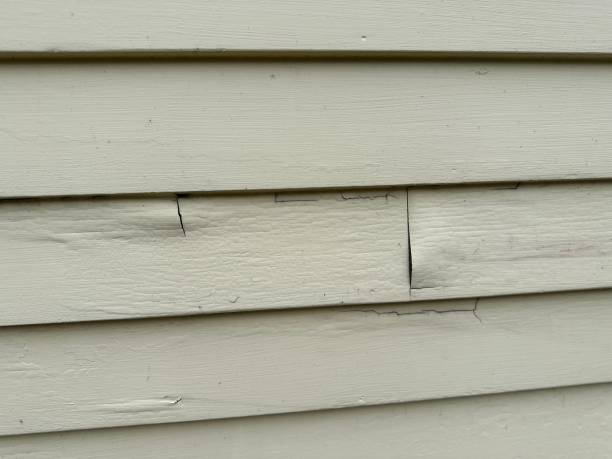 Reliable Elm City, NC Siding Installation & Repair Solutions
